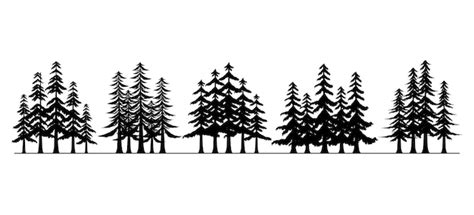 Premium Vector Group Of Pine Forest Trees Silhouette Collection