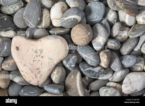 La Piedra Con Forma De Coraz N En Pebble Beach Fotograf A De Stock Alamy