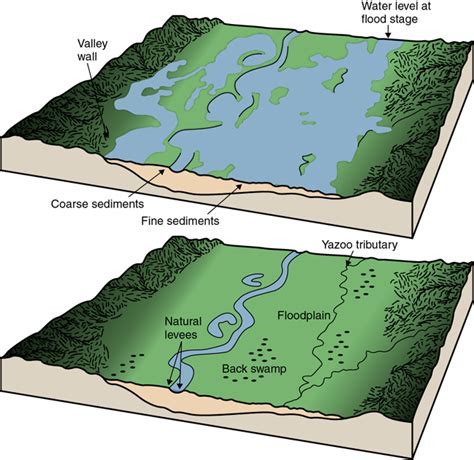 Any Land Area Susceptible To Being Inundated By Floodwaters E G