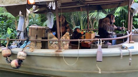 First Look Whats Gnu On The Jungle Cruise At Disneyland