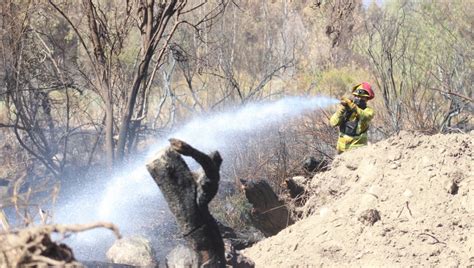 Incendio forestal ha consumido 15 hectáreas en Monte Patria Cancelan