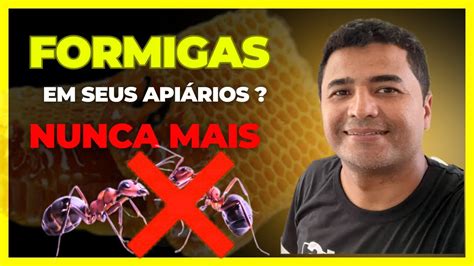 Como Exterminar Formigas dos Apiários Definitivamente YouTube