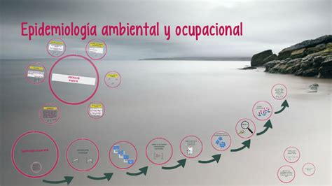 Epidemiología ambiental y ocupacional by fabiola mora on Prezi