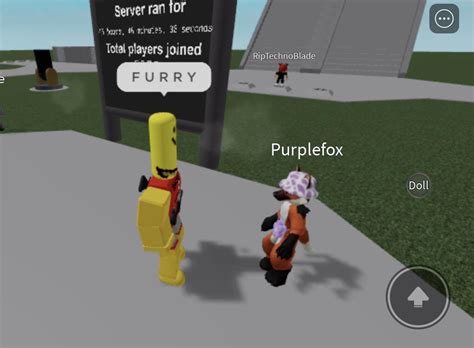 F U R R Y Rgocommitdie