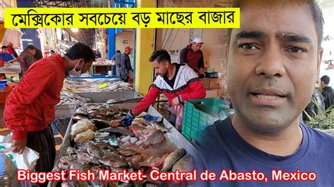 মেক্সিকোর সবচেয়ে বড় মাছের বাজার। Biggest Fish Market In Mexico