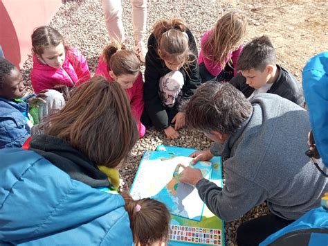 Cicle Mitj Visita El Romeral Dalbesa Escola Mont Roig