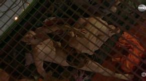 PLAISIRS DEFENDUS NUDE SCENES AZNude