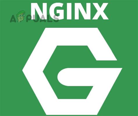 How To Fix 500 Internal Server Error NGINX For Client Server