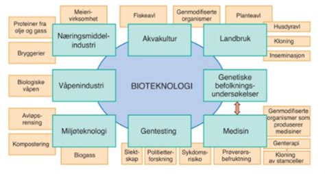 EG Kap 19 Genteknologi Bioteknologi Flashcards Quizlet