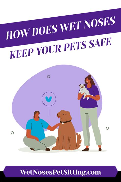 How Does Wet Noses Keep Your Pets Safe Wet Noses Pet Sitting