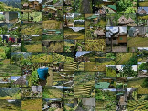 503 Photos Of Rice Terraces Asian Flippednormals