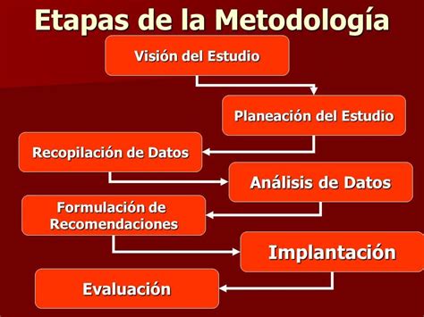 Comprende Las Etapas De La Metodologia Recopilación De Datos