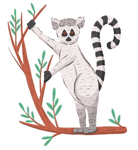 Ring Tail Lemur On Branch 15563166 Vector Art At Vecteezy