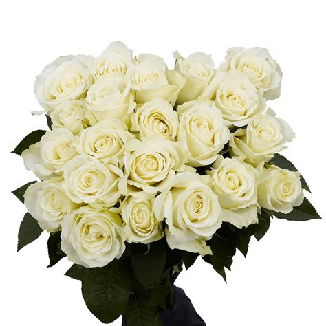 White Roses Cheap Flowers Free Delivery Globalrose