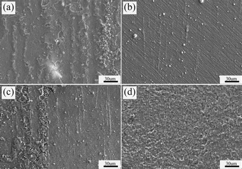 Surface Morphologies Of Different Extruded Alloys After Electrochemical