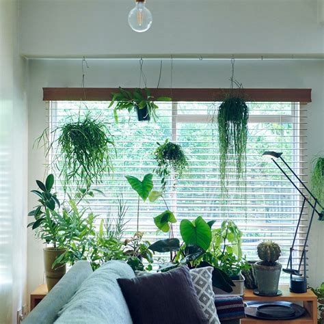 Green Interiors Green Life Plant Decor Houseplants Indoor Interior