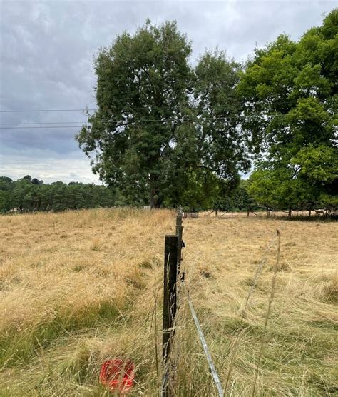 Grazing South Of Ashe Park Copse Mr Ignavy Cc By Sa 2 0 Geograph