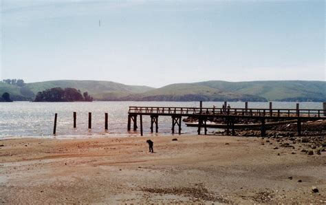 Nicks Cove Pier — Marshall Tomales Bay Pier Fishing In California