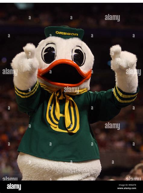 The Oregon Ducks Mascot Tries To Get The Fans Revved Up As They Take On