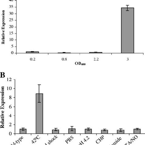 RT PCR Confirmation Of Altered Gene Expression Levels In The M