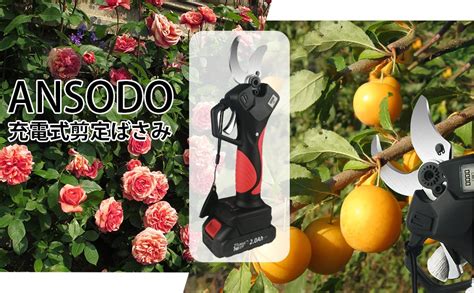 Ansodo 電動剪定バサミ割引率50 コード Amazonのブログ