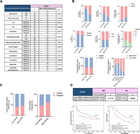 Frontiers CD105 Expression In Cancer Associated Fibroblasts A