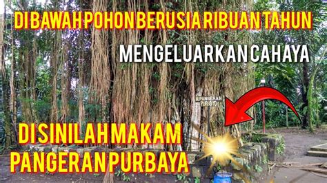 Makam Orang Sakti Setiap Malam Mengeluarkan Cahaya Di Bawah Pohon Besar