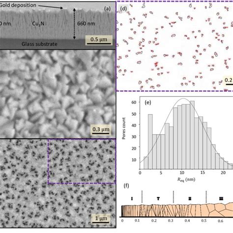 SEM Micrographs Of A Cross Section And B Planar Views Both Of