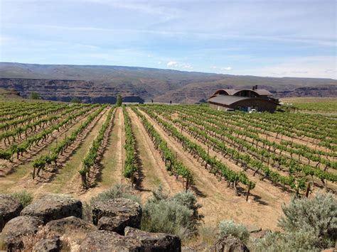 Northwest Wine Ancient Lakes Is Home To Distinctive Wines The