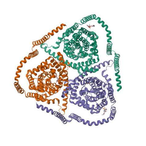 Rcsb Pdb Tz Cryo Em Structure Of Bovine Concentrative Nucleoside