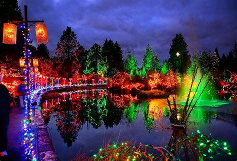 Festival of Lights at VanDusen Garden » Vancouver Blog Miss604