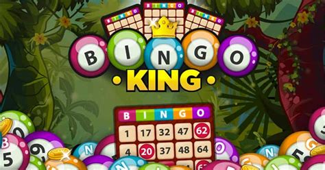 Como jogar bingo online : veja!