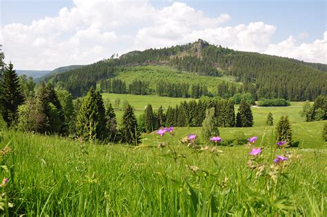 Thüringer Wald Ihr Urlaubs Und Reiseportal