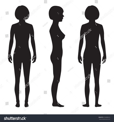 Human Body Anatomyfront Back Side Vector Stock Vector