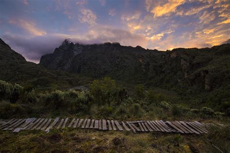 Rwenzori Mountains Trekking