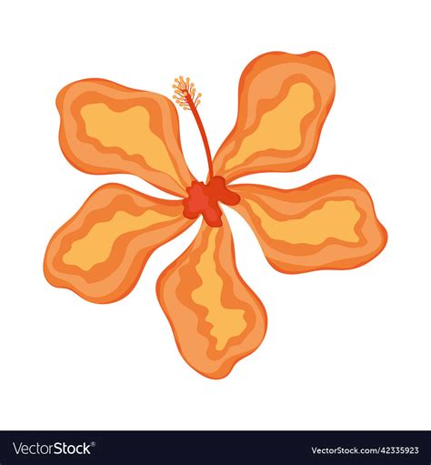 Orange flower garden Royalty Free Vector Image