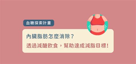 內臟脂肪怎麼減？小心這 4 種原因導致內臟脂肪高 Health2sync Blog