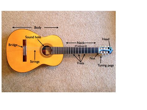 Acoustic Guitar- Labeled Parts | Self Taught Guitar Lessons