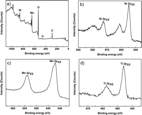 X Ray Photoelectron Spectroscopy Xps Spectra Of A All Elements B Download Scientific