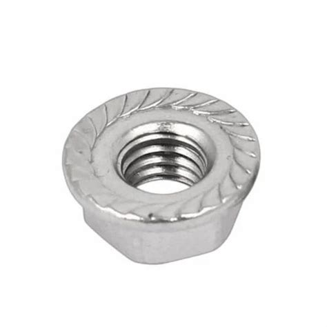 Round Stainless Steel Flange Nut Diameter 6 Mm Thickness 15 Mm At Rs 22piece In Ludhiana