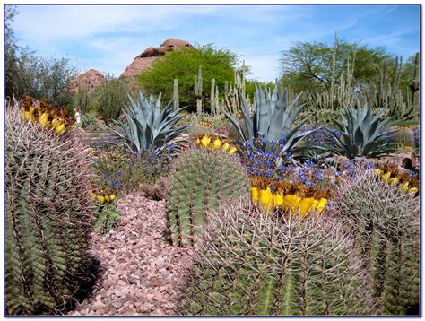 Desert Botanical Garden Phoenix Map - Garden : Home Design Ideas ...