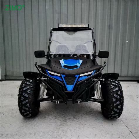 Blue Black 2 Seater Gas 300cc Go Karts Dune Buggy China 300cc Buggy