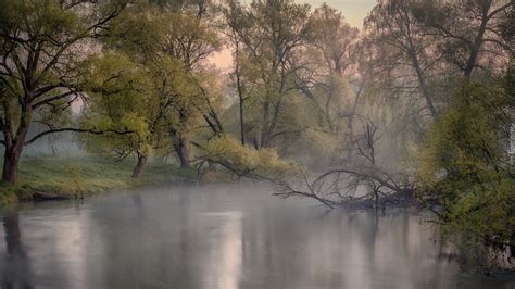 Po Amane Ga Zie I Drzewa Nad Zamglon Rzek Istra