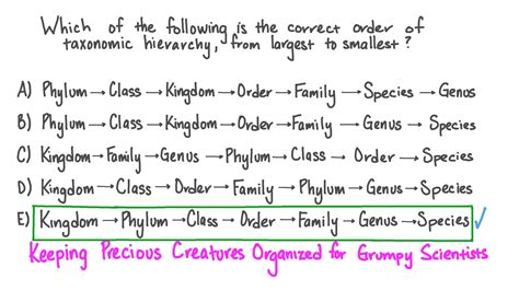 Question Video Recalling The Correct Order Of The Taxonomic Hierarchy