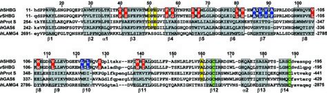 Crystal Structure Of Human Sex Hormone Binding Globulin Steroid