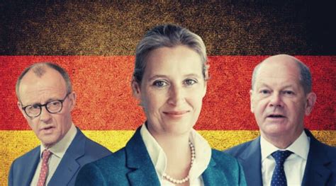 Germany Needs New Elections Right Populist Afd Partys New Record