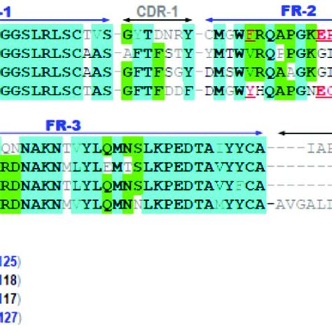 Multiple Sequence Alignments Of The Deduced Amino Acid Sequences Among