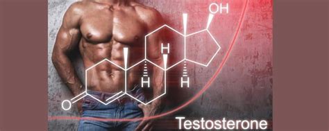 Testosterone Replacement Therapy Timeline