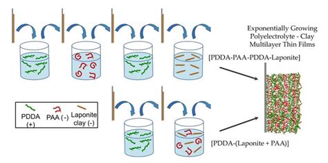 Polymers Free Full Text Molecular Organization In Exponentially Growing Multilayer Thin