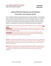 Ibs F Individual Reflections Instructions And Rubric Docx